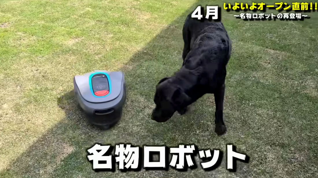 ドッグランの名物になったロボット芝刈り機